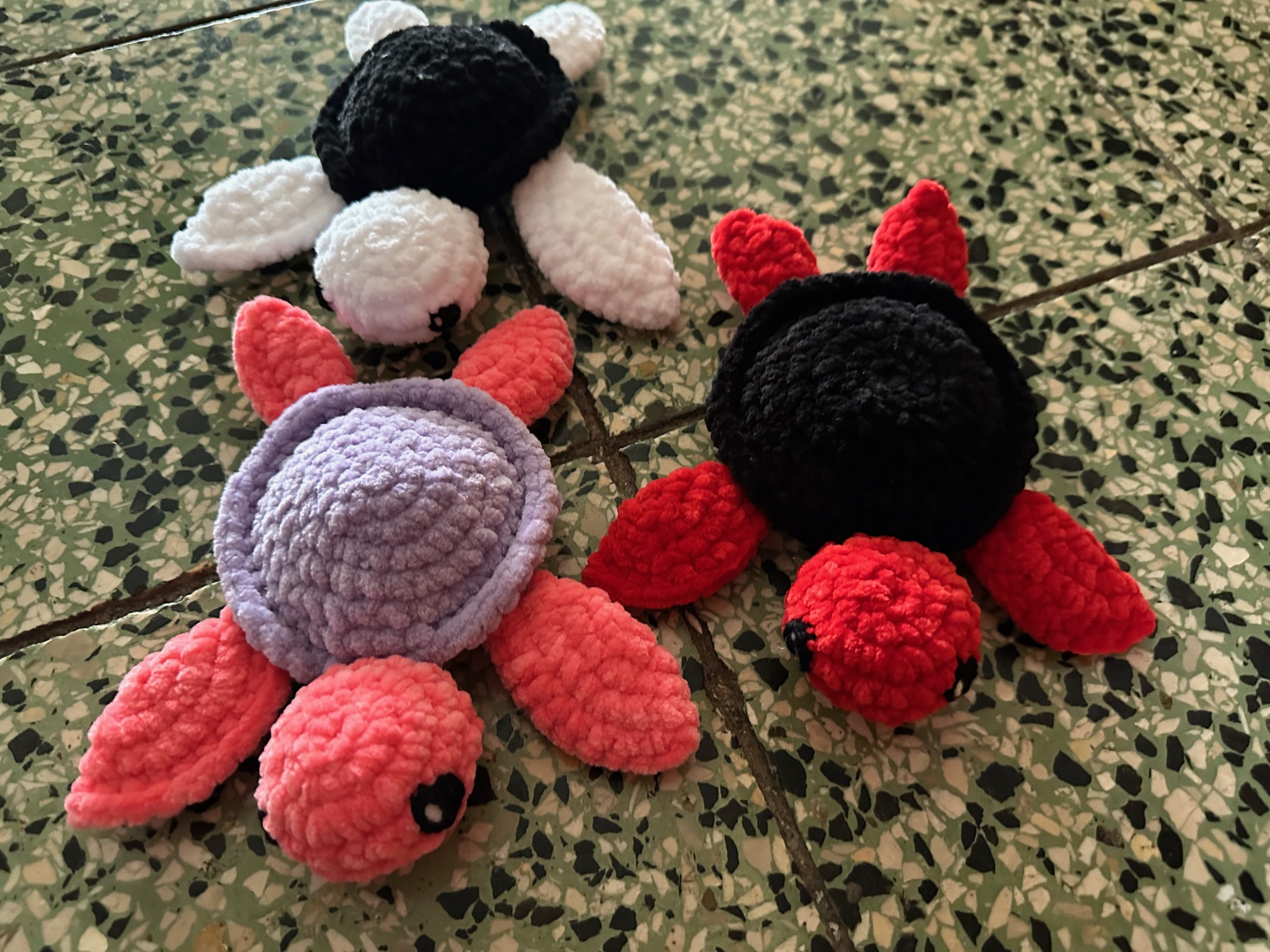 Želva - málo známé zajímavosti, které překvapí