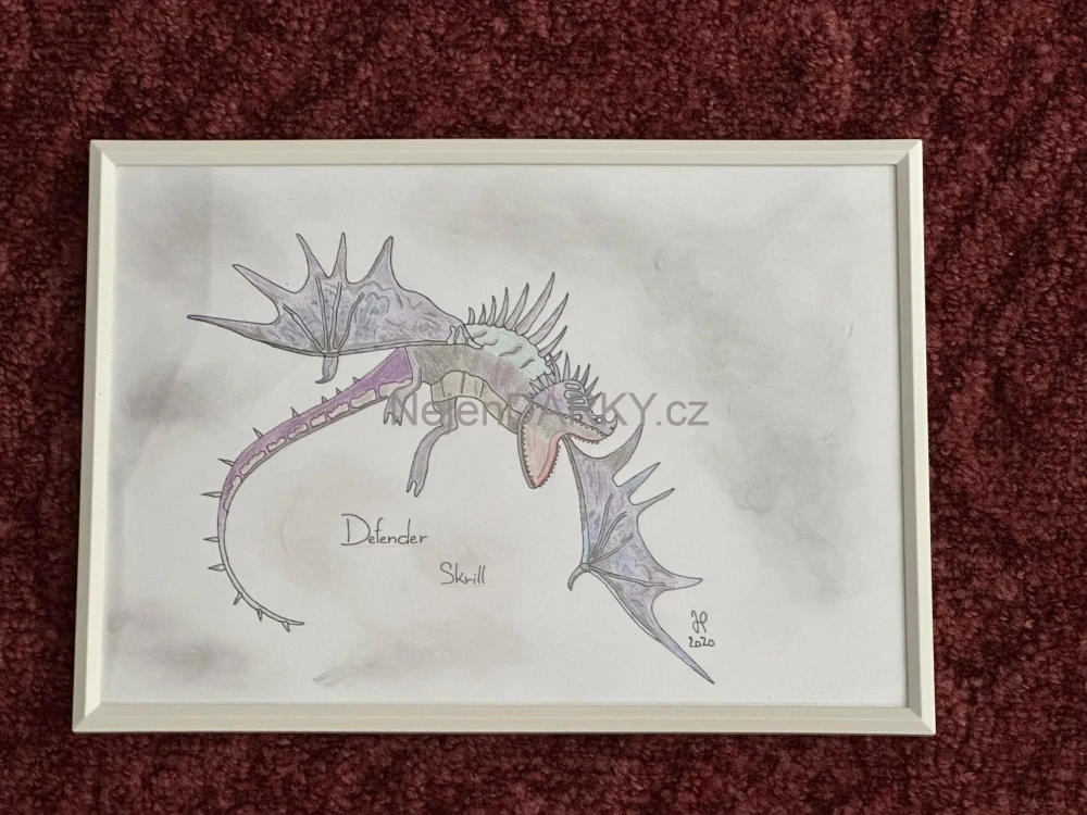 Obraz - Defender Skrill - pastel