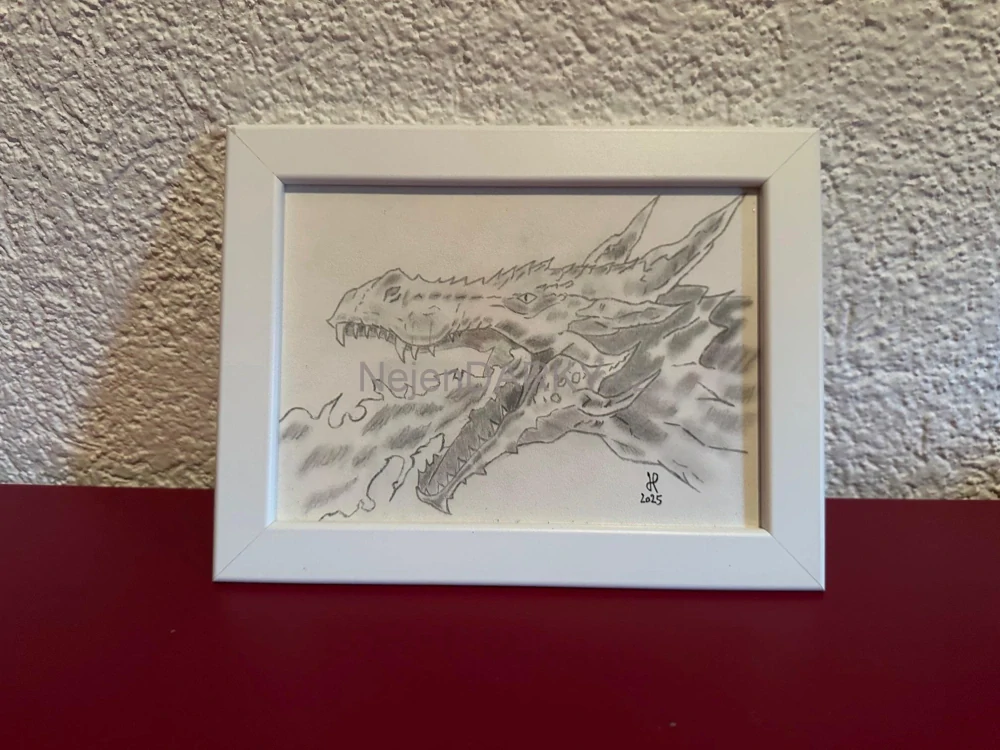 Obraz - dračí hlava II - tužka/fix