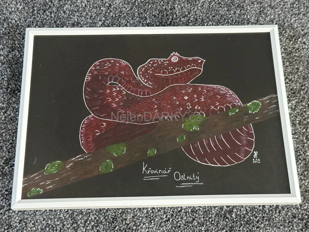 Obraz - Křovinář ostnitý - pastel/fix