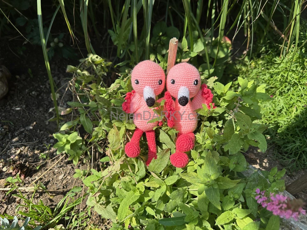 Háčkovaný plameňák