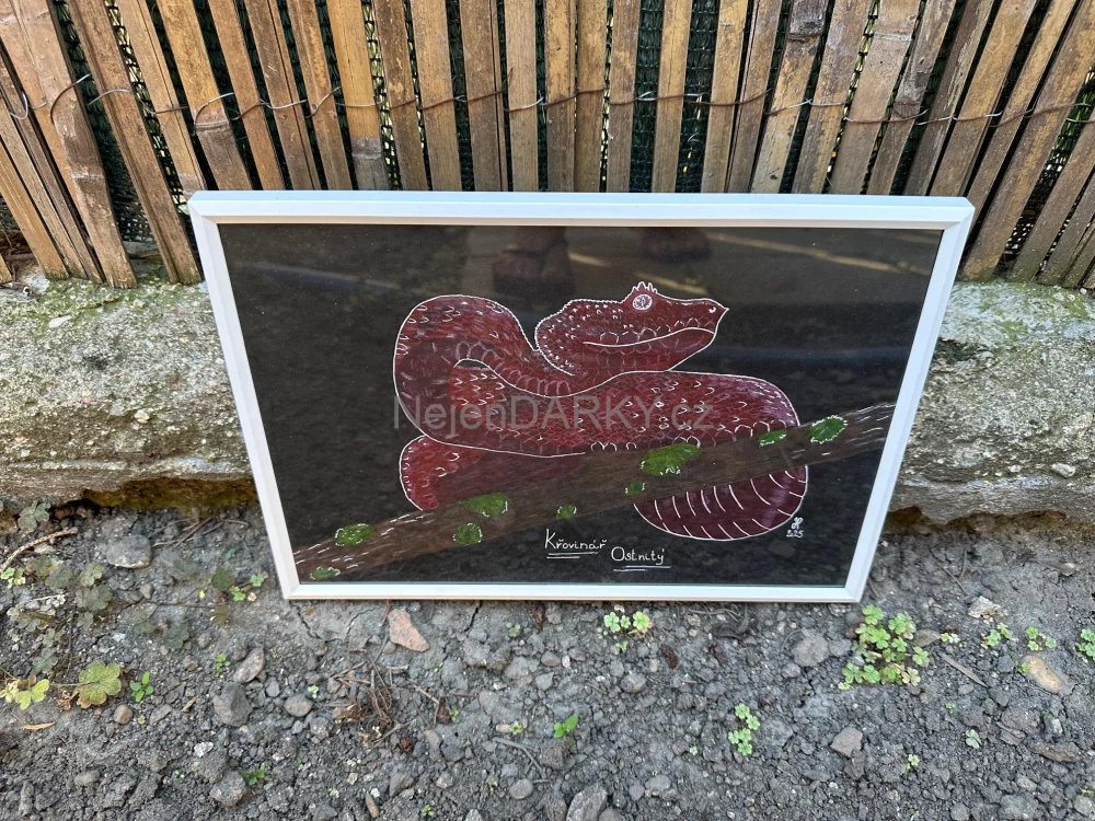 Obraz - Křovinář ostnitý - pastel/fix