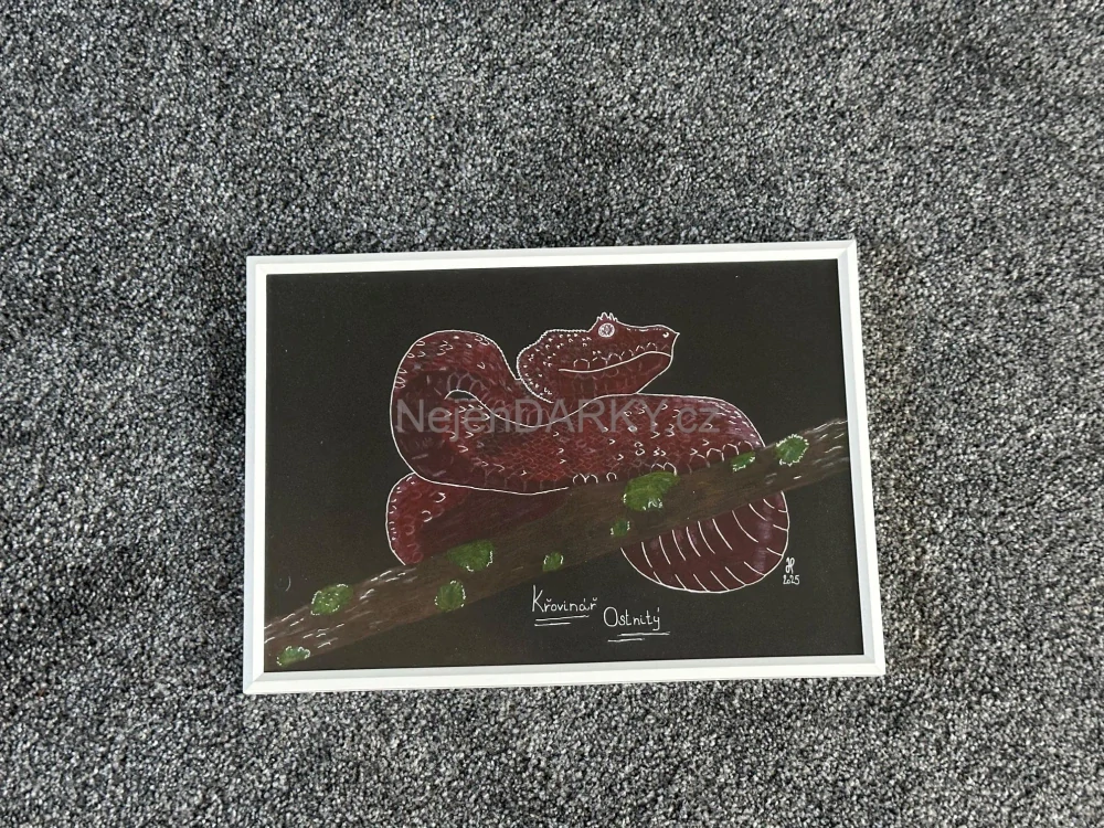 Obraz - Křovinář ostnitý - pastel/fix