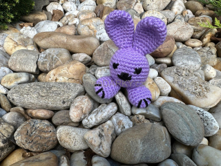 Králíček malý fialový